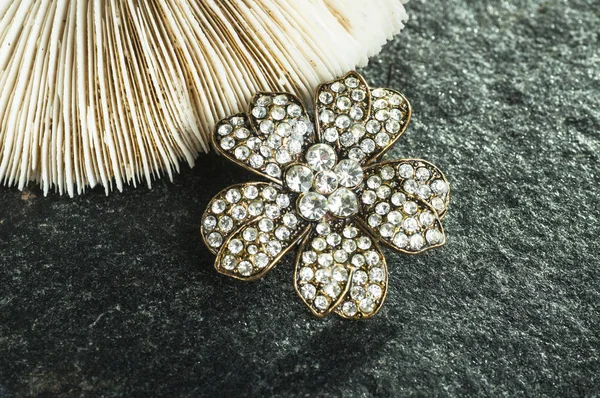 Beautiful  elegance brooch — Stock Photo, Image