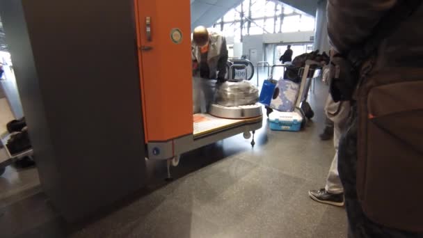 Bagage terugloop service op de luchthaven Vnukovo — Stockvideo