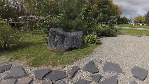Kleiner japanischer Garten — Stockvideo