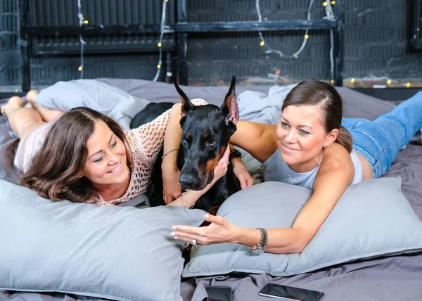 Vrouw in bed met grote hond — Stockfoto