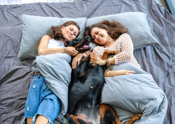 Mulher na cama com cachorro grande — Fotografia de Stock