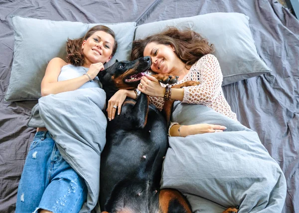 Vrouw in bed met grote hond — Stockfoto