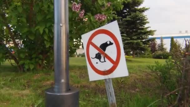 Kein Hundeschild Auf Grünem Rasen — Stockvideo