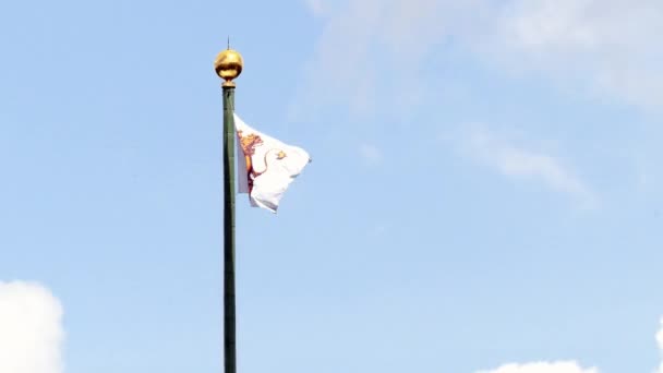Usupov flaga powyżej Muzeum-nieruchomości Arkhangelskoye. — Wideo stockowe