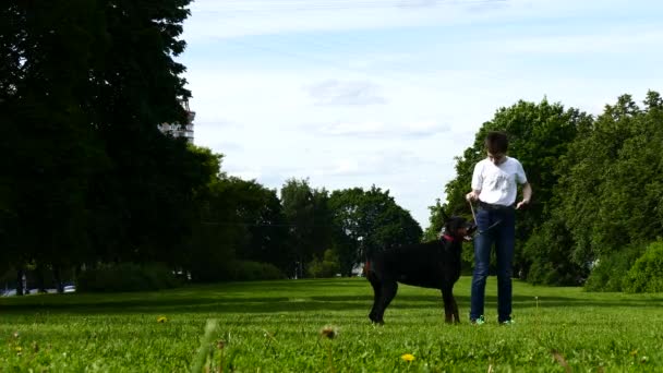 Мальчик играет с большой собакой в парке — стоковое видео