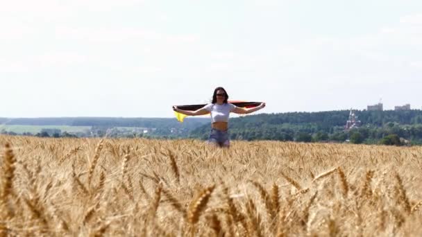 Campo Trigo Brilhante Outono Com Menina Correndo Rápido Com Bandeira — Vídeo de Stock