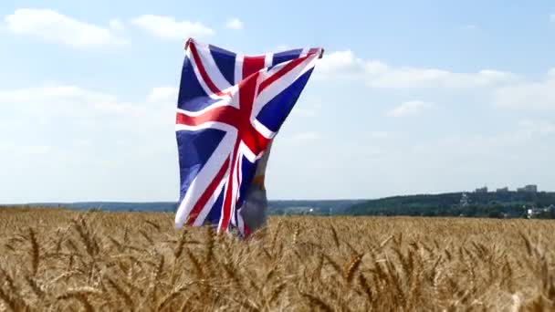 Belleza chica corriendo en el campo de trigo amarillo con la bandera nacional de Gran Bretaña . — Vídeo de stock