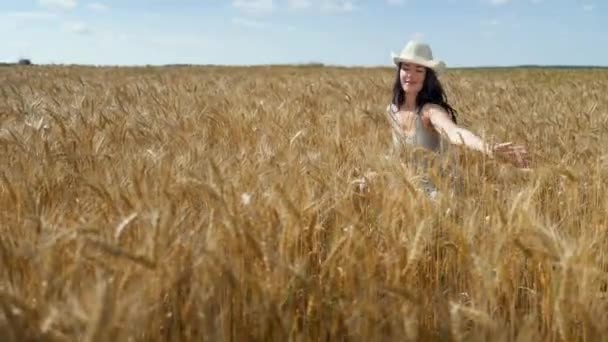 Menina Bonita Campo Trigo Iluminado Pelo Sol Conceito Liberdade Mulher — Vídeo de Stock