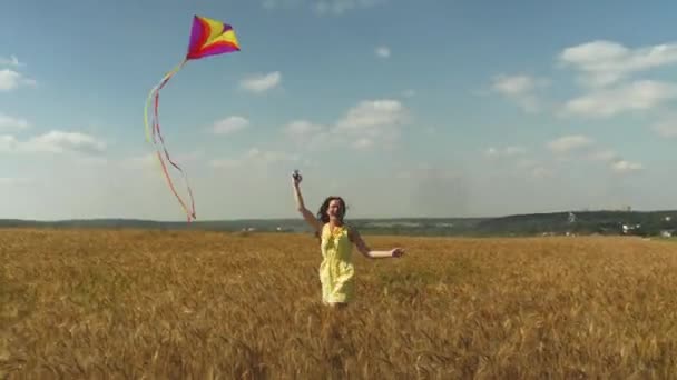 美丽的女孩奔跑夏天领域风筝 — 图库视频影像