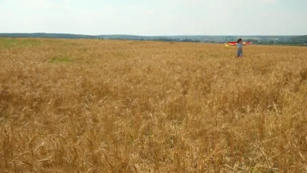 彼女の手でドイツの旗を搭載した高速の女の子と明るい秋麦畑 — ストック動画