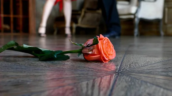 Czerwona róża na podłodze — Zdjęcie stockowe