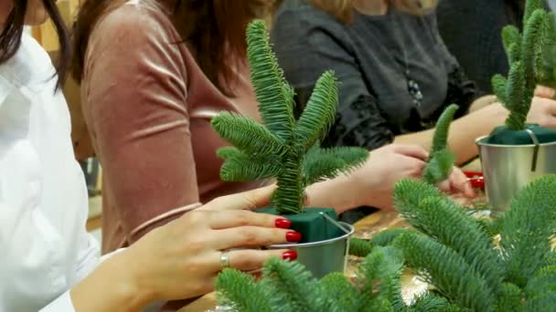 Group Women Makes Compositions Christmas Tree Branches — Stock Video