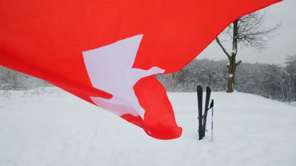 風になびかせてスイス連邦共和国の国旗 — ストック動画