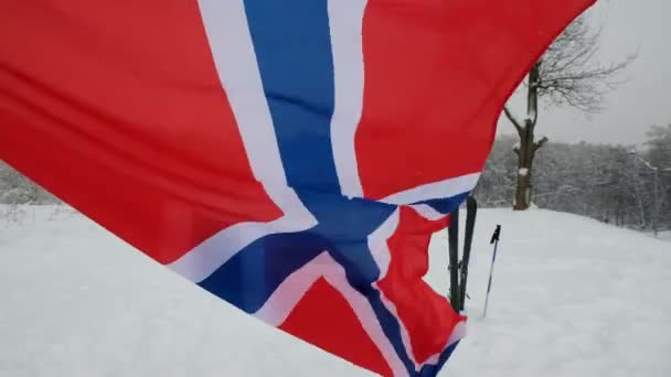 挪威在风中挥舞的旗帜. — 图库视频影像