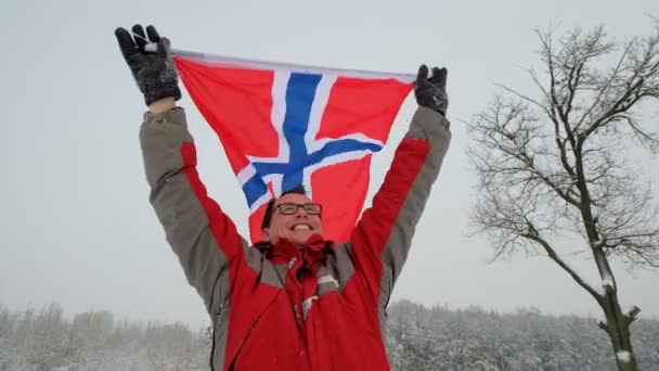 Norveç rüzgarda sallayarak bayrak. — Stok video
