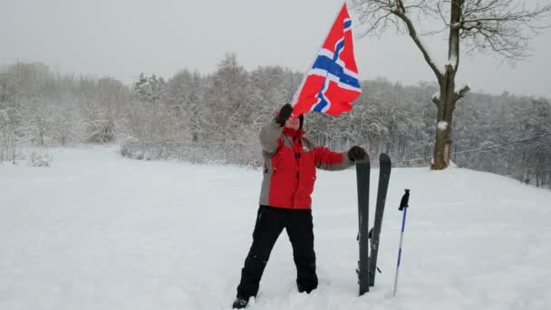 Bandiera della Norvegia sventola nel vento . — Video Stock