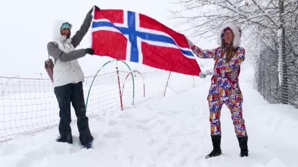 Bandiera della Norvegia sventola nel vento . — Video Stock