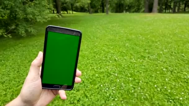Manlig hand hållande svart smartphone med grön skärm på grönt gräs bakgrund. — Stockvideo