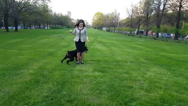 Genç Kız parkta bir köpek ile çalış.