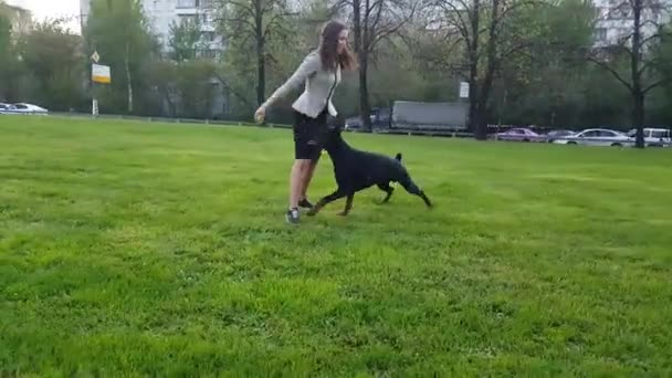 Νεαρό κορίτσι παίζει με ένα σκύλο στο πάρκο. — Αρχείο Βίντεο