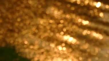 Dalgalanan suda altın yaprak.