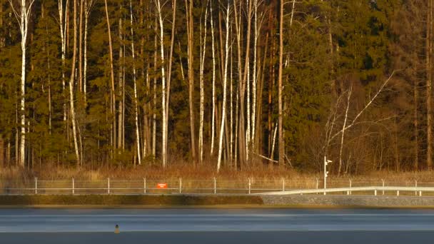 Brücke für Flugzeuge von der neuen Landebahn zum Terminal des Flughafens Scheremetjewo. — Stockvideo