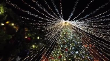 Madalyalı Noel Ağacı Işıkları