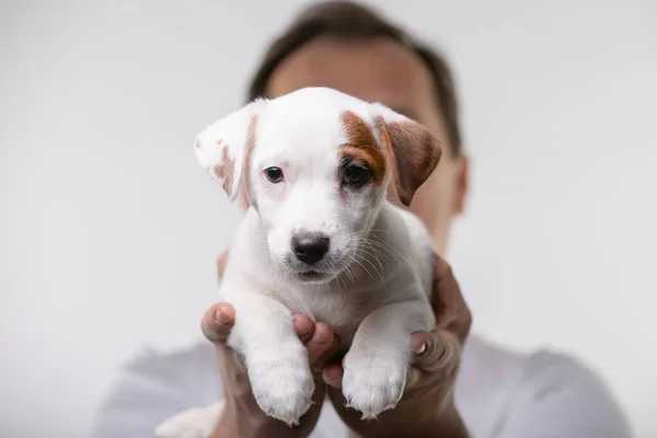 El hombre sostiene a un cachorro en sus manos — Foto de Stock