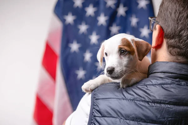 Cachorrinho pequeno com bandeira dos EUA no fundo — Fotografia de Stock