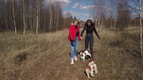 Мама и дочь на прогулку — стоковое видео