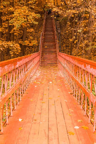 Дерев'яні сходи з листям в осінньому лісі — стокове фото