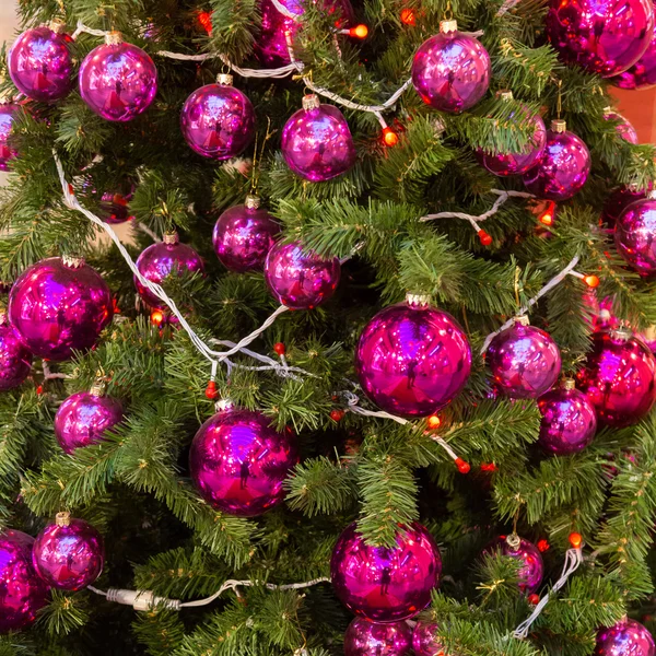 Decoraciones de Navidad en las ramas de abeto — Foto de Stock