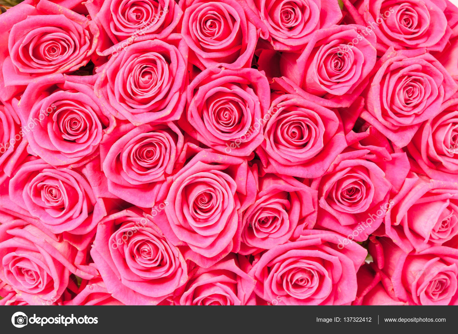 Mange rosa, naturlige roser sømløs bakgrunn – stockfoto © gilmanshin  #137322412, image size:1600x1167