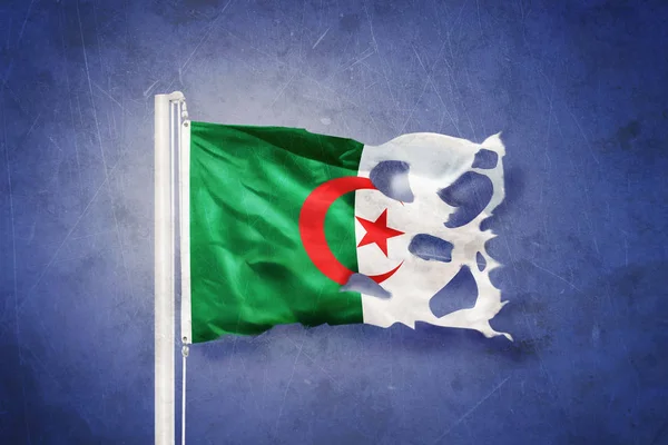 撕裂的阿尔及利亚国旗的飞行 grunge 背景 — 图库照片