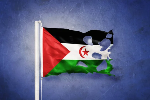 Sönderrivna flagga av Västsahariska arabiska demokratiska republiken flyger mot grunge bakgrund — Stockfoto