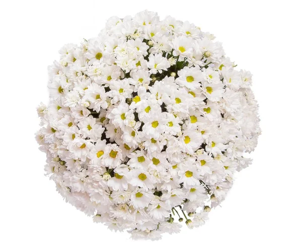 Boeket van bloemen bovenaanzicht op witte achtergrond — Stockfoto
