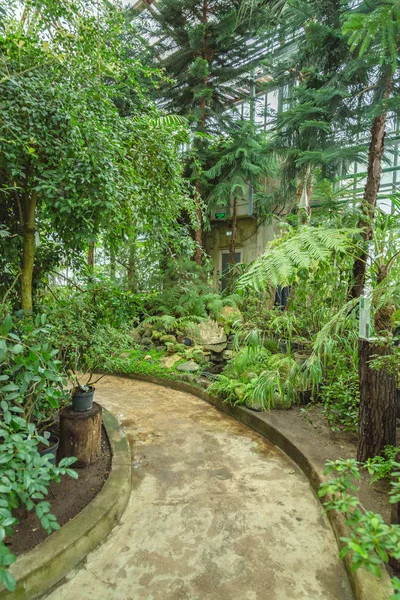 Interior dari rumah kaca tropik tua — Stok Foto