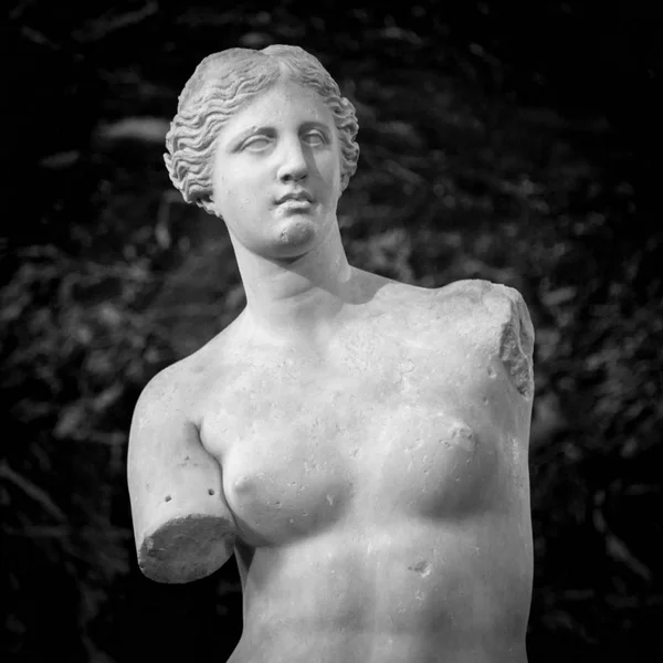 Venusstatue auf dunklem Hintergrund — Stockfoto