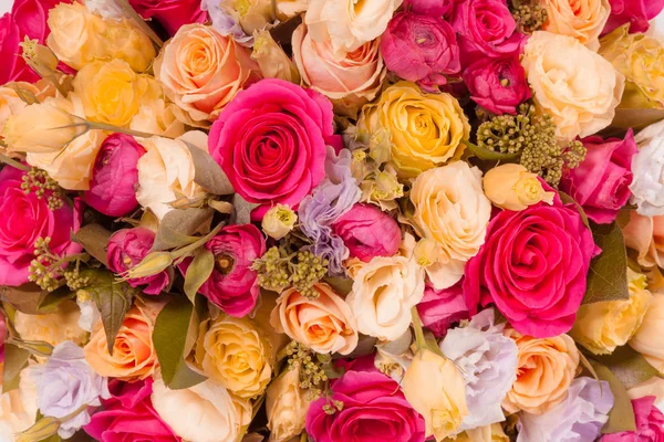 Abstraktní pozadí květiny Close-up — Stock fotografie