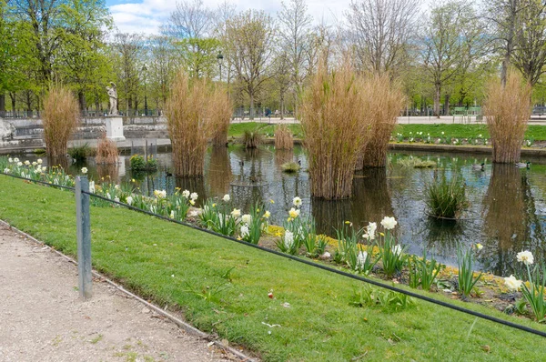 Vacker utsikt över Luxembourgträdgården i Paris — Stockfoto
