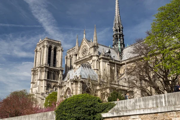 Cathédrale Notre Dame de Paris par un après-midi lumineux au printemps — Photo