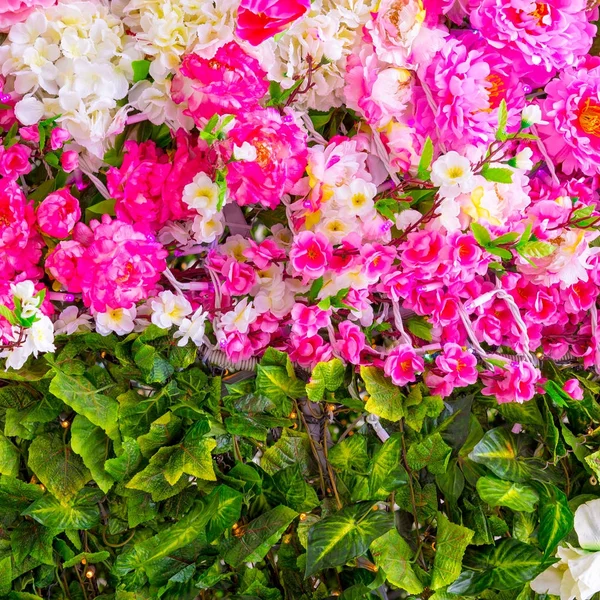 Sfondo astratto di fiori — Foto Stock