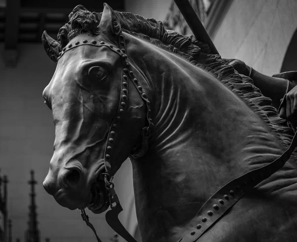 Bronze Pferdekopf auf weißem Hintergrund — Stockfoto