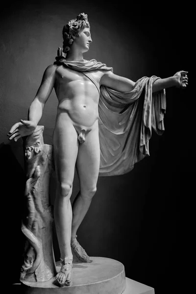 Posąg Apolla Belvedere. Detal Muzeum Watykańskie — Zdjęcie stockowe