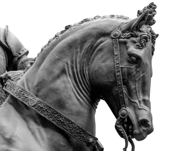 Testa di cavallo in bronzo isolato su uno sfondo bianco — Foto Stock