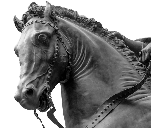 Cabeça de cavalo de bronze isolada sobre um fundo branco — Fotografia de Stock