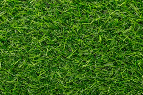 Verde iarbă textura model de fundal — Fotografie, imagine de stoc