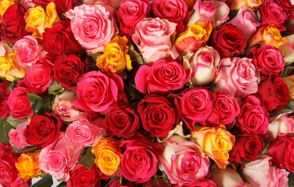 在一个色彩艳丽的婚宴上,背景是五彩缤纷的纸红花.美丽的花墙背景,红白相间的玫瑰,让人叹为观止.顶部视图 — 图库照片
