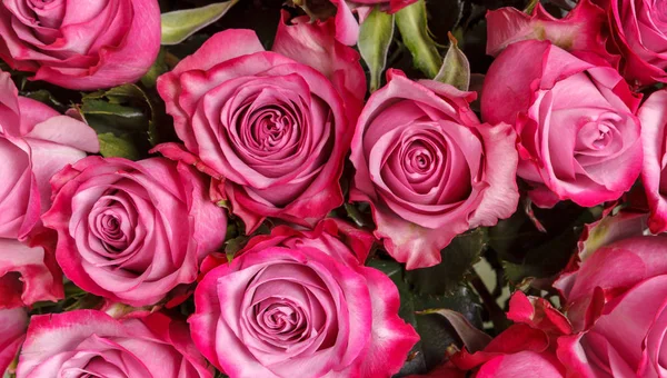 Achtergrond van kleurrijke papieren rozen achtergrond in een bruiloft receptie met zachte kleuren. Close-up afbeelding van prachtige bloemen muur achtergrond met verbazingwekkende rode en witte rozen. Bovenaanzicht Stockafbeelding