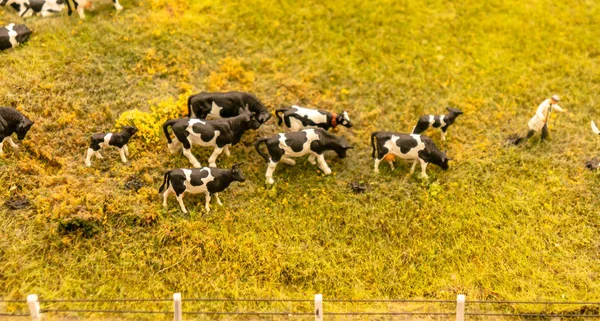 Herd of cows miniature toys on a meadow farming landscape. Miniature toy farm cow with calves lined up on green background — Stock Photo, Image